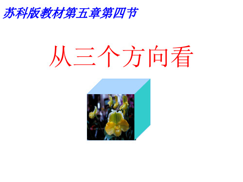 数学：5.4《从三个方向看》课件3(苏科版七年级上)