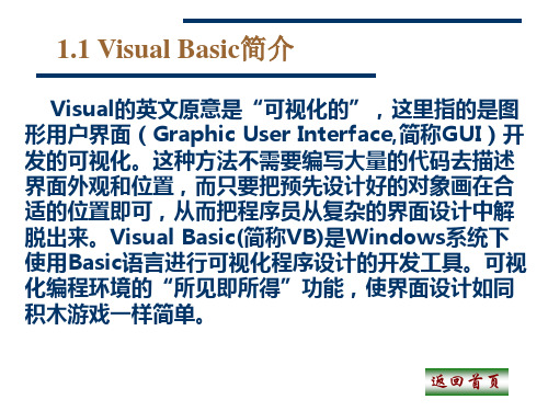 VisualBasic程序设计基础上课件