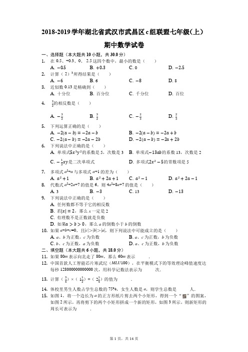 2018-2019学年湖北省武汉市武昌区c组联盟七年级(上)期中数学试卷