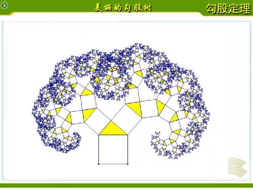 勾股定理的证明及应用期末复习