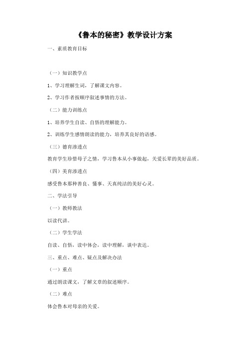 《鲁本的秘密》教学设计方案