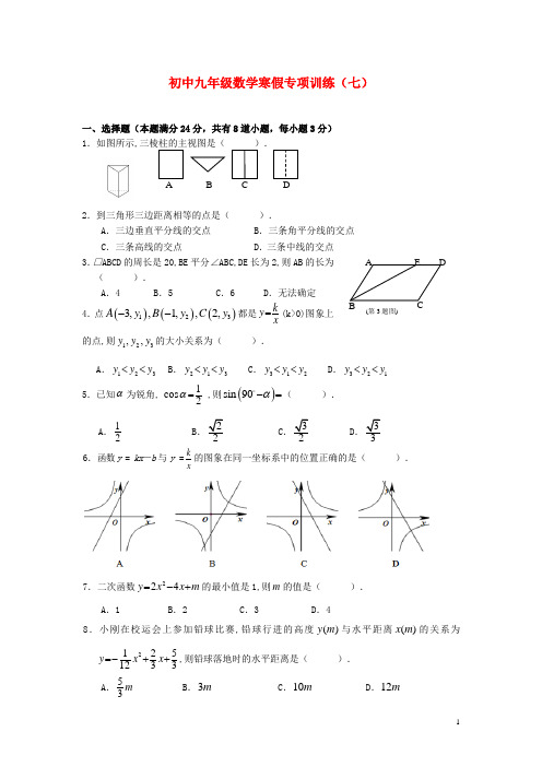 2021届九年级数学寒假专项训练(七) 新人教版