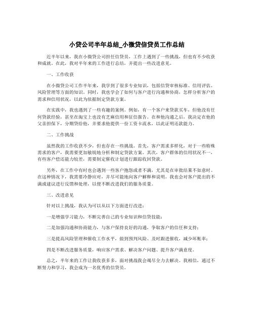 小贷公司半年总结_小微贷信贷员工作总结