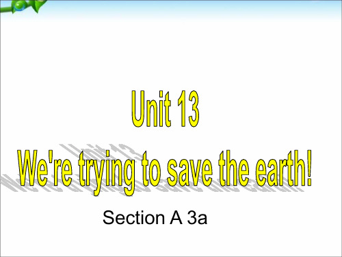 人教版英语九年级 Unit13 Section A 3a (共22张PPT)