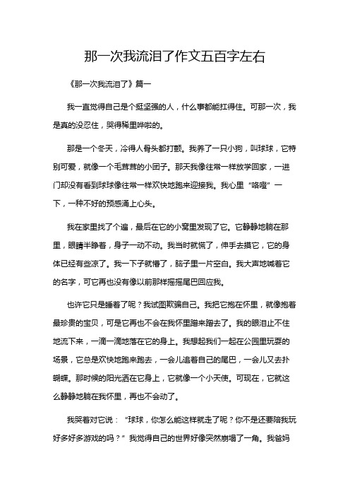 那一次我流泪了作文五百字左右