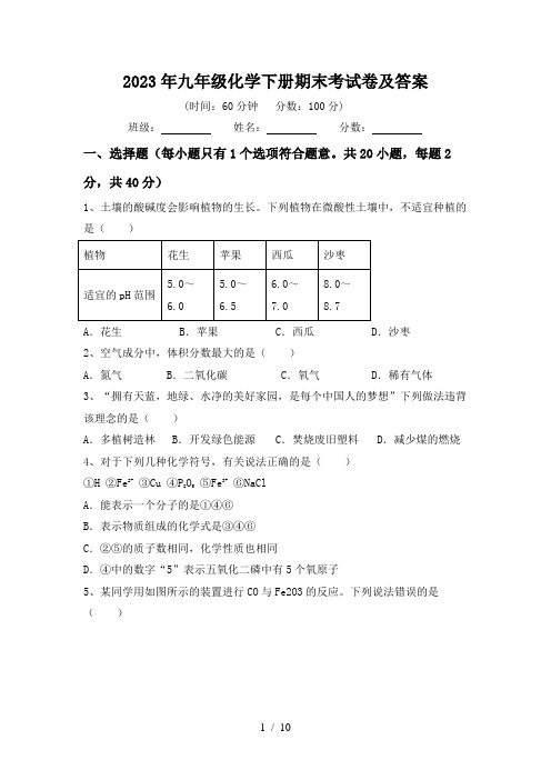 2023年九年级化学下册期末考试卷及答案