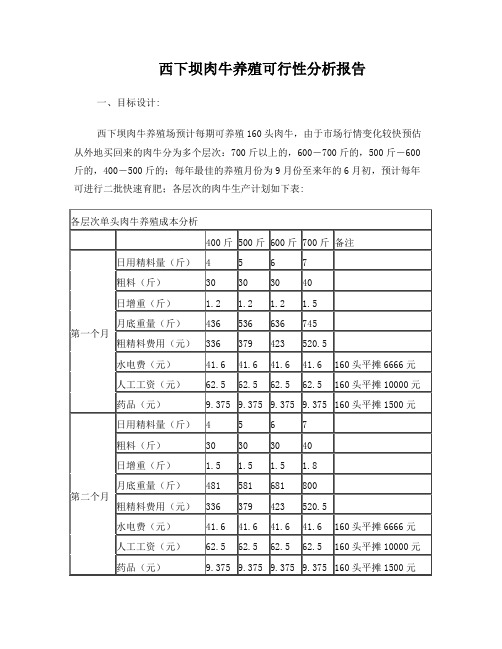 肉牛养殖可行性分析报告