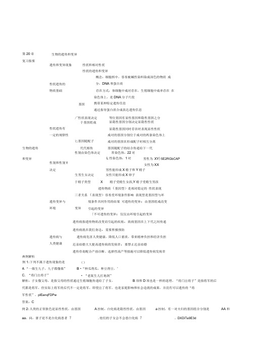 初中生物八年级《第20章生物的遗传和变异》复习提纲同步练习附答案