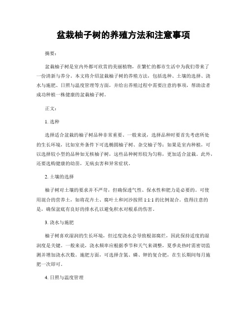 盆栽柚子树的养殖方法和注意事项