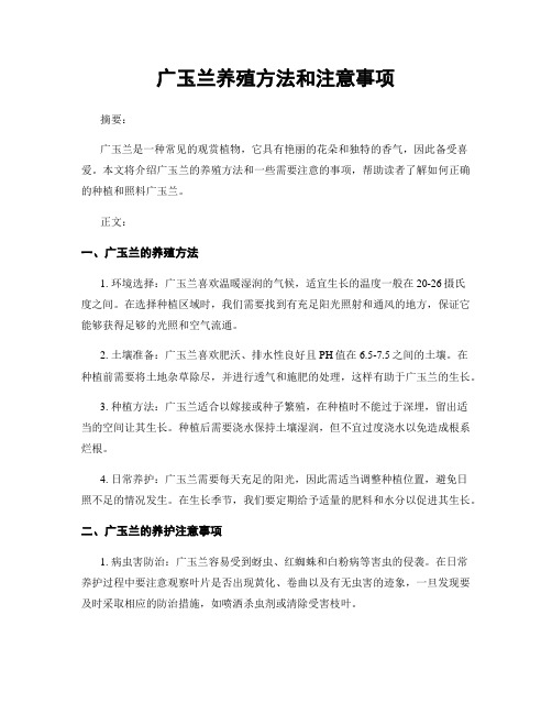 广玉兰养殖方法和注意事项