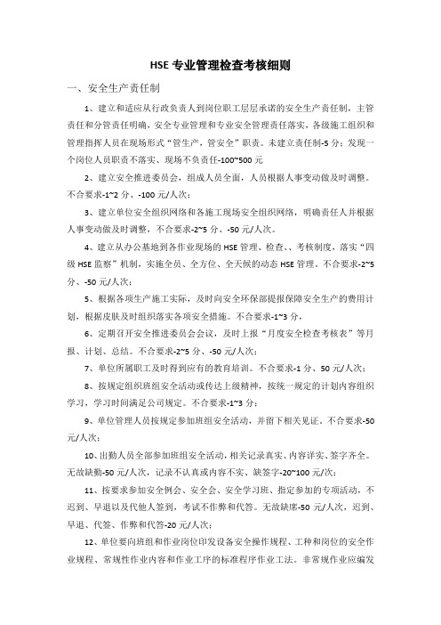 HSE专业管理检查考核细则