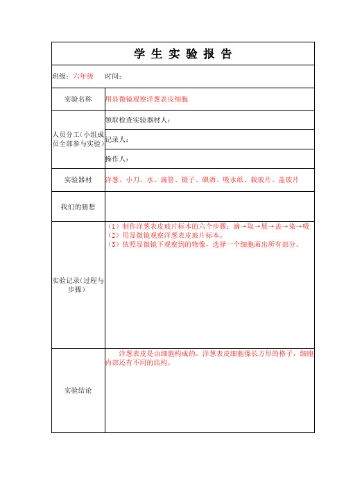 4.用显微镜观察洋葱表皮细胞