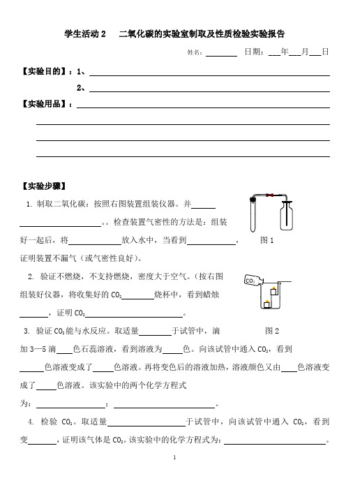 CO2的实验室制取及性质检验实验报告 2