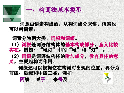 语构造的基本类型2分析各种词语的结构3了解简缩的基本综述