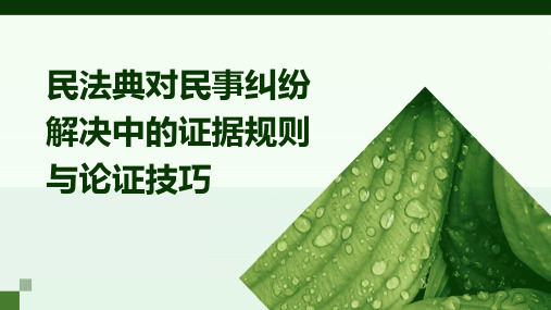 民法典对民事纠纷解决中的证据规则与论证技巧