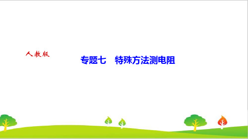 最新人教版初中物理九年级上册专题七《特殊方法测电阻》精品课件