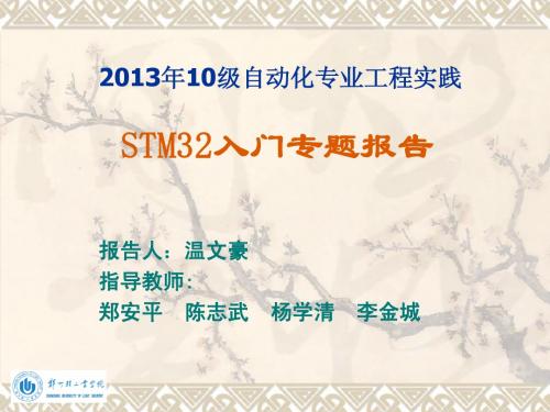 STM32实验系统专题报告