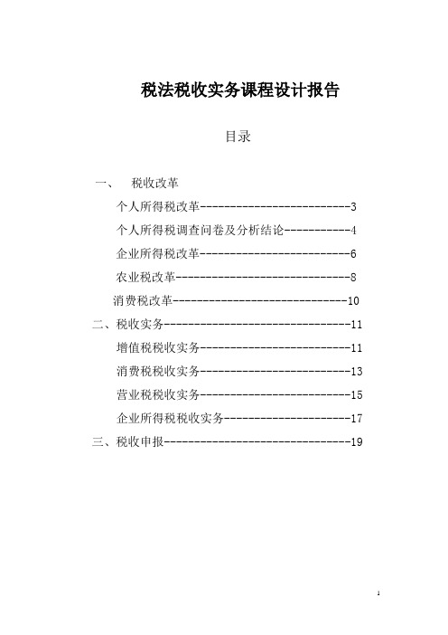 个人所得税改革课程设计报告