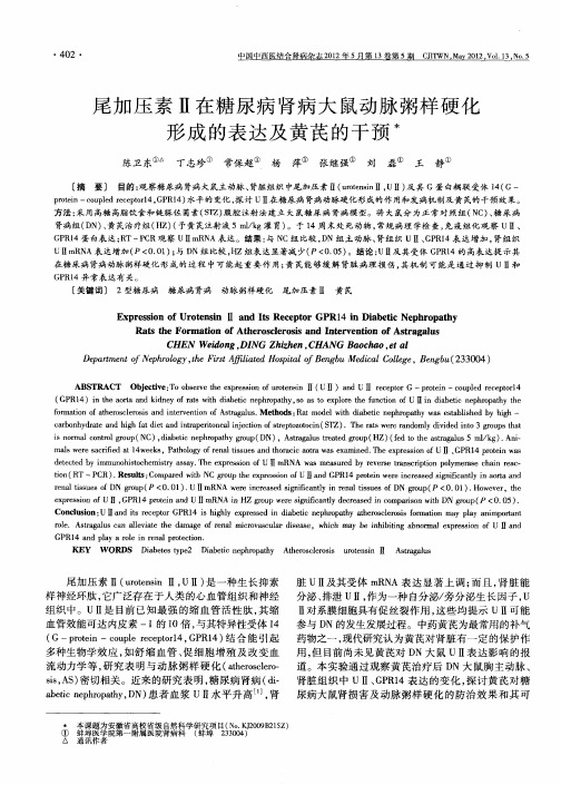 尾加压素Ⅱ在糖尿病肾病大鼠动脉粥样硬化形成的表达及黄芪的干预