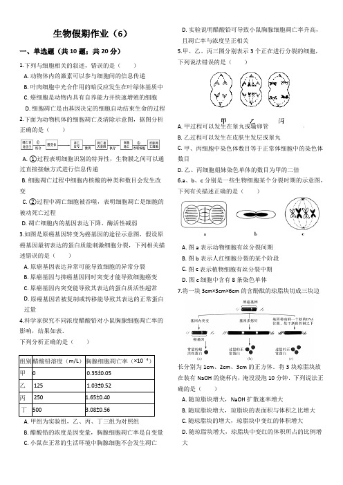 高一生物必修一第六章细胞的生命历程练习-生物假期作业(6)