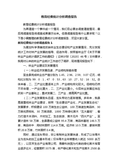 教育经费统计分析调查报告