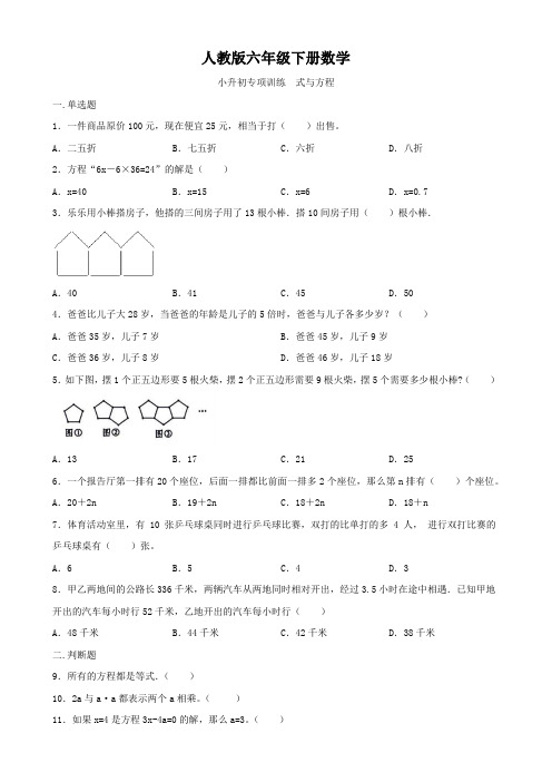 人教版六年级下册数学   小升初专项训练   式与方程