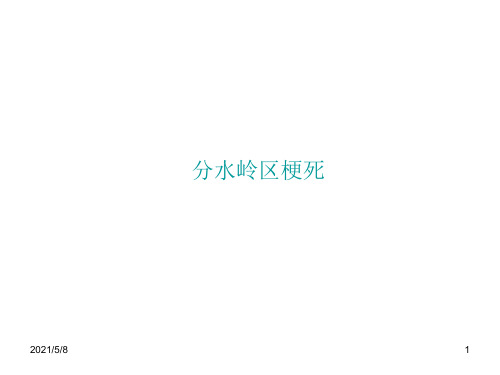 分水岭区梗死及影像学表现参考PPT