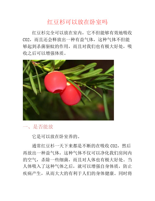 红豆杉可以放在卧室吗