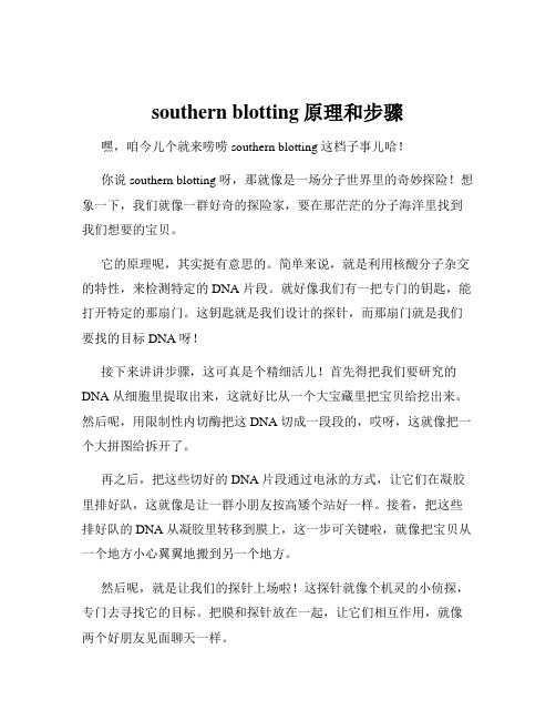 southern blotting原理和步骤