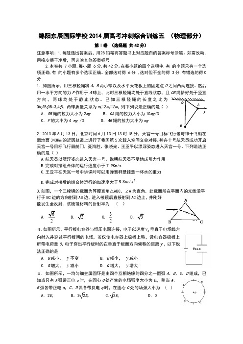 四川省绵阳市东辰国际学校高考冲刺物理综合训练题(五)