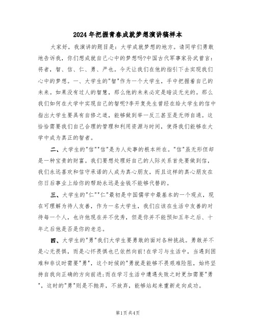 2024年把握青春成就梦想演讲稿样本(二篇)