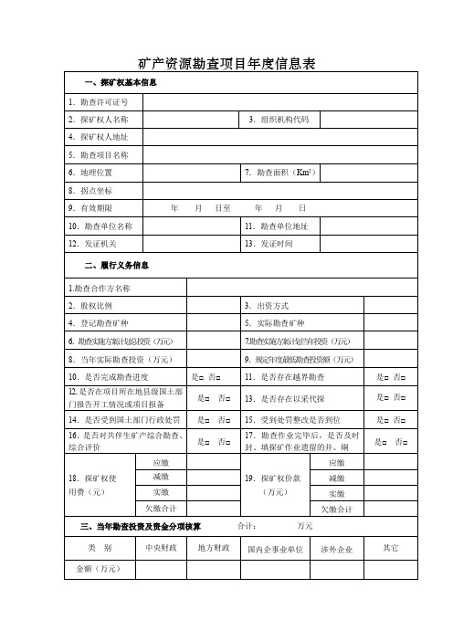 矿产资源勘查项目年度信息表