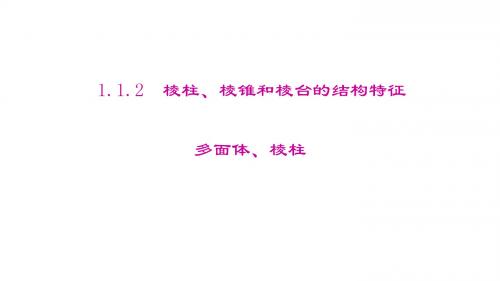 人教B版高中数学必修2-1.1教学课件-棱柱、棱锥和棱台的结构特征：多面体、棱柱