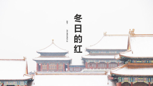 冬天的红 故宫红墙 创意美术PPT精品课件