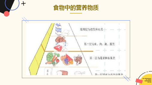 食物中的营养物质