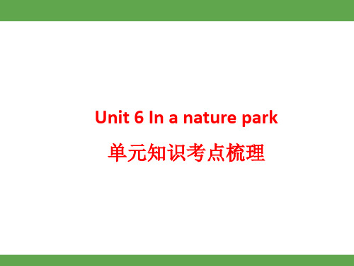 Unit6Inanaturepark单元知识考点梳理(课件)人教PEP版英语五年级上册