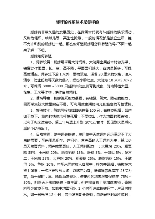 蟋蟀的养殖技术是怎样的