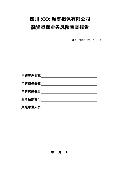 关于融资担保业务风险审查报告模板