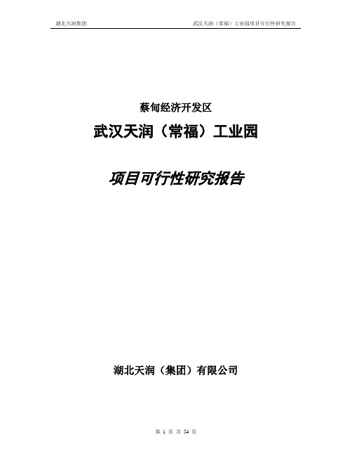 武汉天润工业园项目可行性研究报告