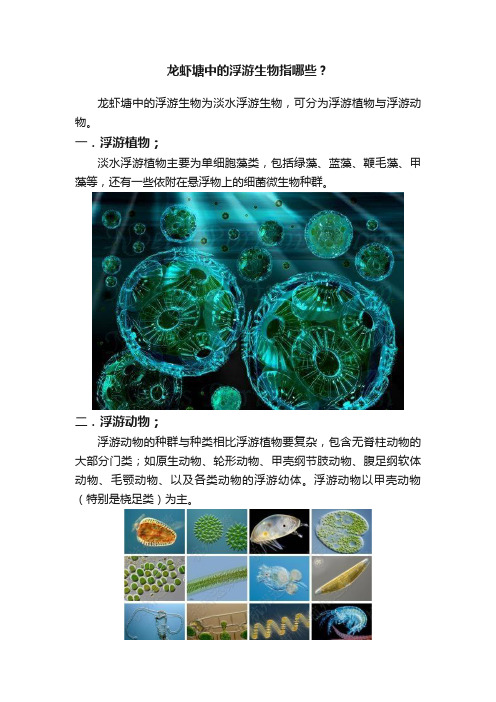 龙虾塘中的浮游生物指哪些？