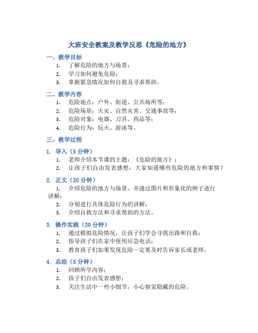 大班安全教案及教学反思《危险的地方》