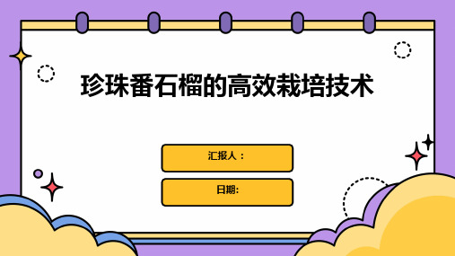 珍珠番石榴的高效栽培技术