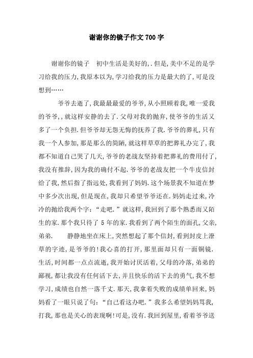 谢谢你的镜子作文700字