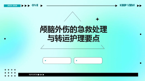 颅脑外伤的急救处理与转运护理要点