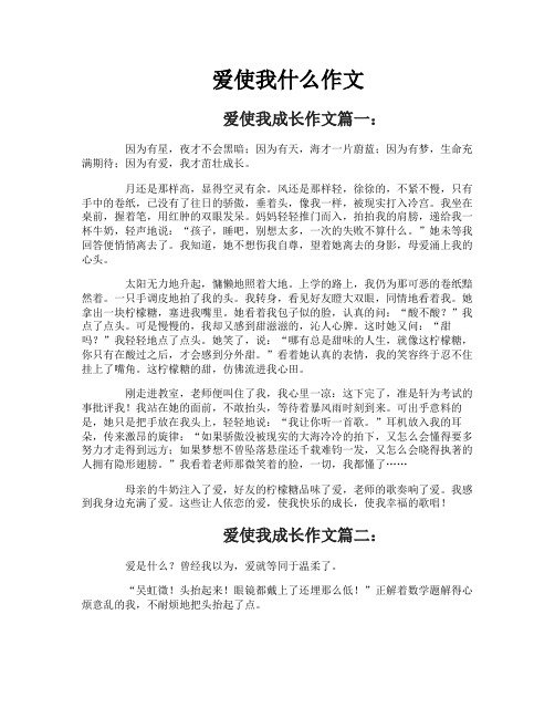 爱使我什么作文