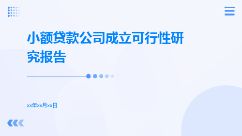 小额贷款公司成立可行性研究报告