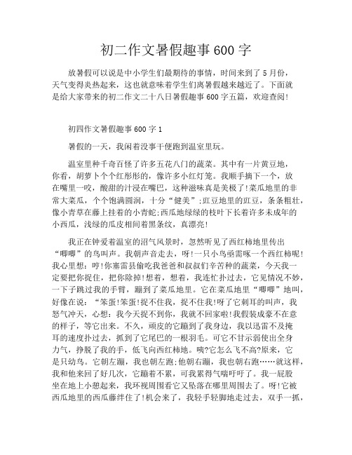 初二作文暑假趣事600字