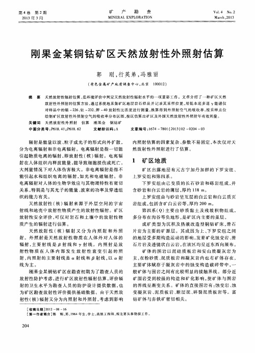 刚果金某铜钴矿区天然放射性外照射估算