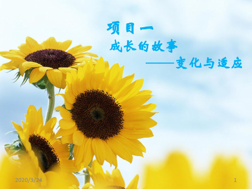 大学生活---变化与适应ppt课件