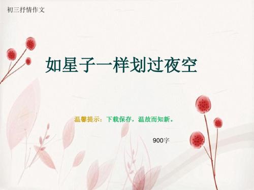 初三抒情作文《如星子一样划过夜空》900字(总11页PPT)